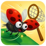 Catch Insect
