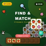 Find n Match