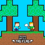 Friends Battle Tag Flag