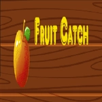 Fruit Catch