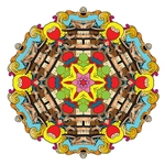 Mandala Coloring Book for Adults and Kids