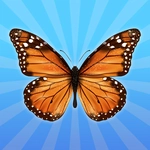 MergeButerfly: 2048!