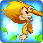 Monkey Swing