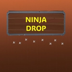 Ninja Drop