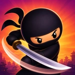 Ninja on the Run