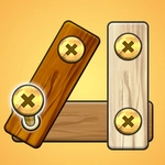 Nut Bolt Screw Puzzle Game