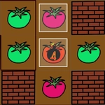 Paint Tomato