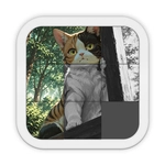 Sliding Tile Puzzle Game