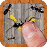 Smash the Insectt