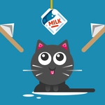 The Cat Drink Milk