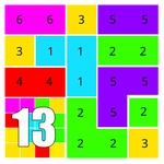 The game : 13