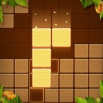 Wood Block Puzzle Game