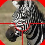 Zebra Hunter Sniper Shooting